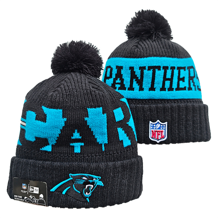 Carolina Panthers 2026 Knit Hats 001